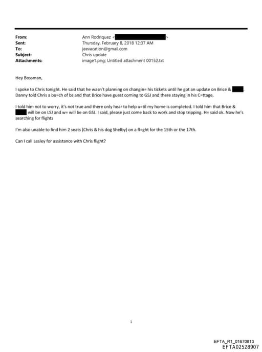 Preview of EFTA02528907