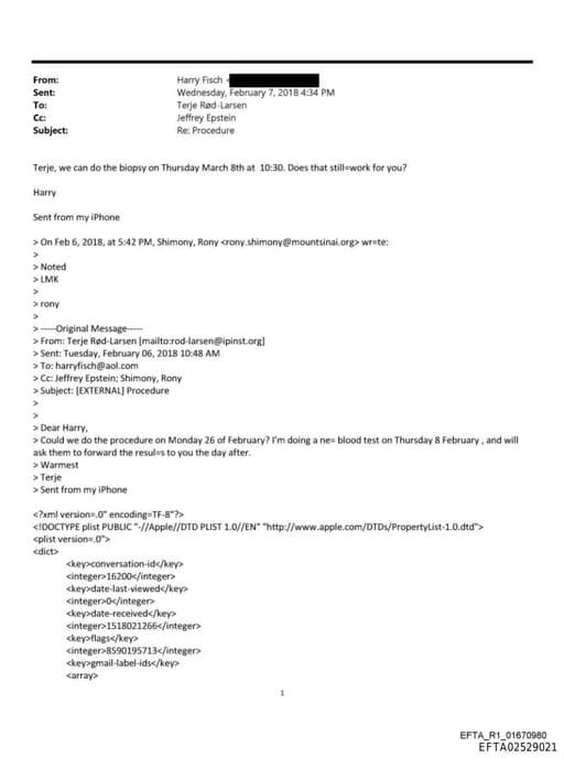 Preview of EFTA02529021