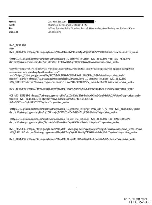 Preview of EFTA02529338