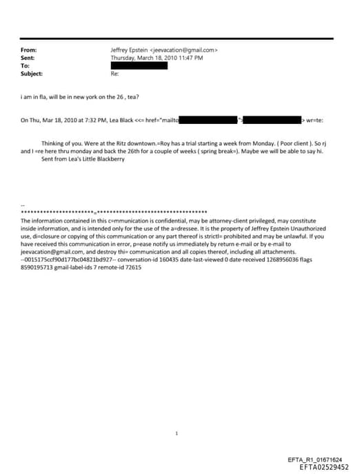 Preview of EFTA02529452