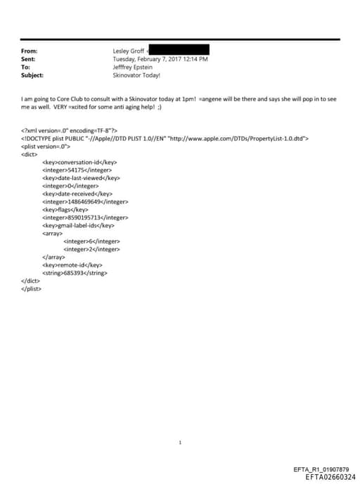 Preview of EFTA02660324