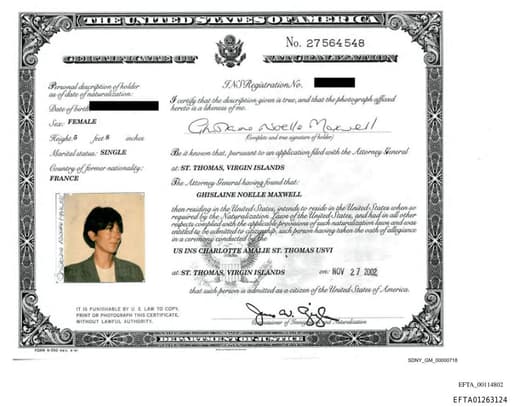 Preview of EFTA01263124