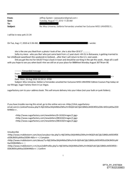 Preview of EFTA02530803