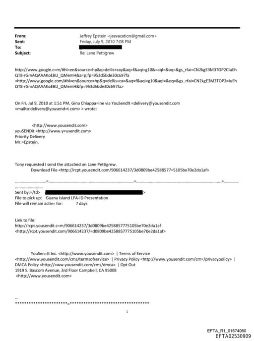 Preview of EFTA02530909