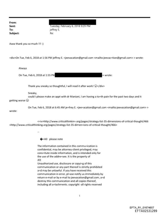 Preview of EFTA02531299