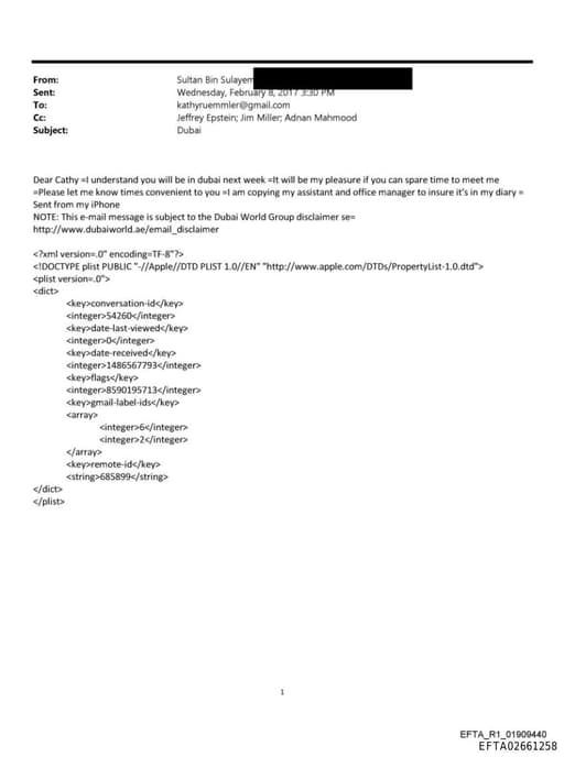 Preview of EFTA02661258