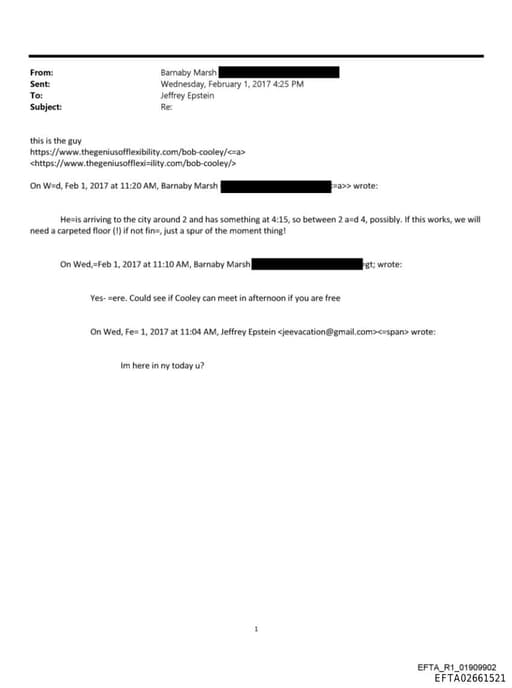 Preview of EFTA02661521