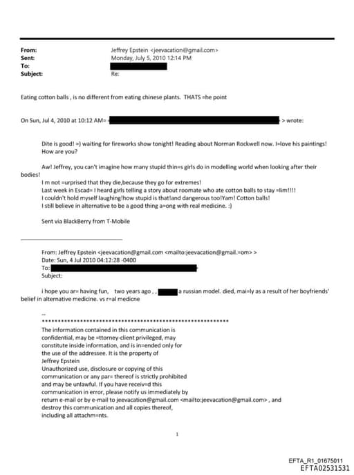 Preview of EFTA02531531