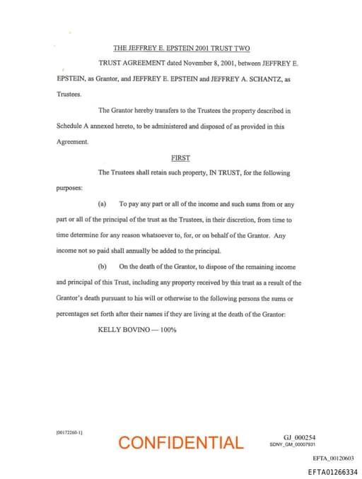 Preview of EFTA01266334