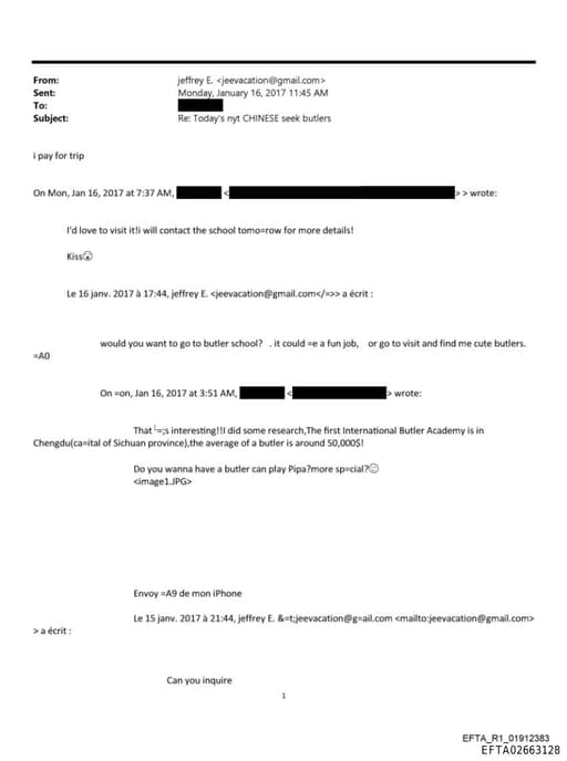 Preview of EFTA02663128