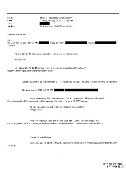 Preview of EFTA02663147