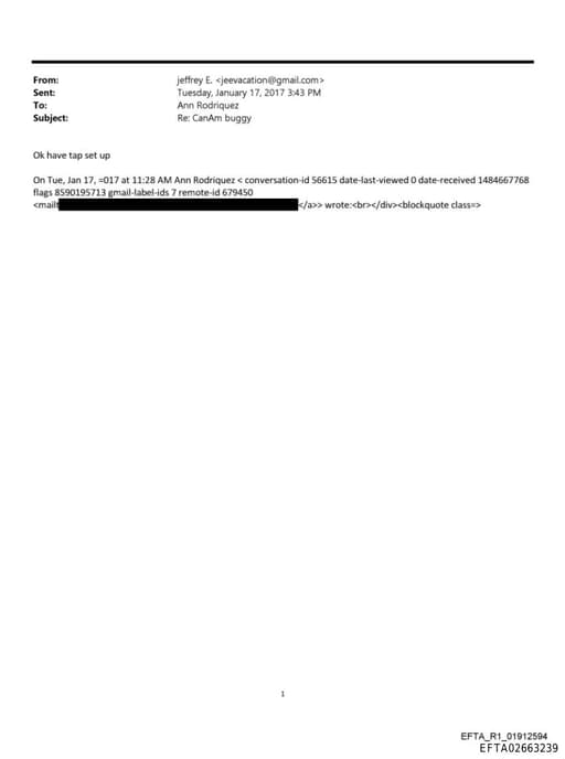 Preview of EFTA02663239