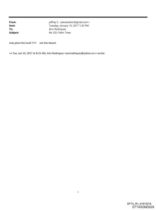 Preview of EFTA02665026