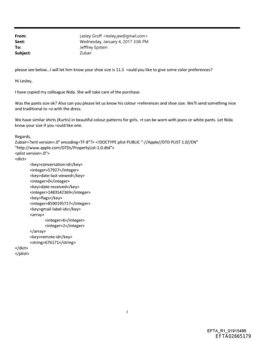 Preview of EFTA02665179