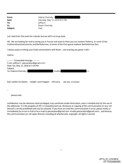 Preview of EFTA02666085