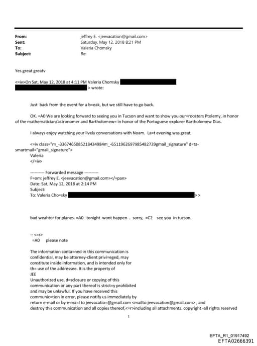 Preview of EFTA02666391