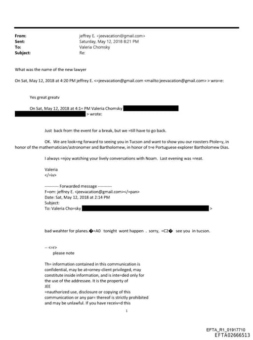 Preview of EFTA02666513