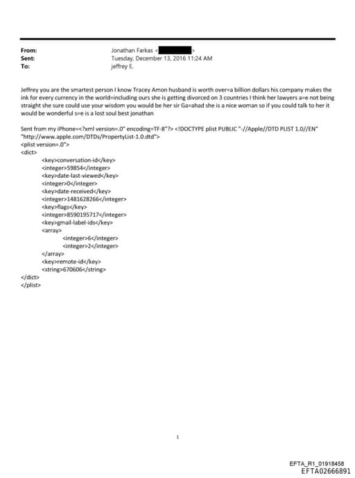 Preview of EFTA02666891