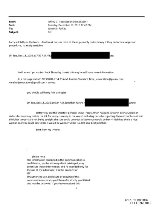 Preview of EFTA02667018