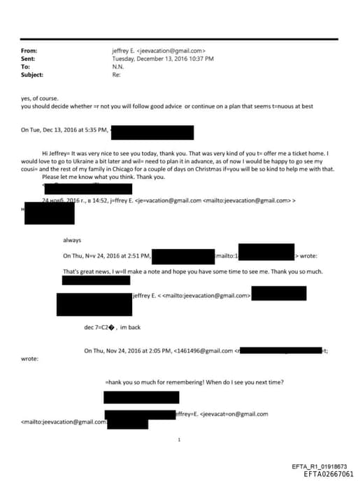 Preview of EFTA02667061