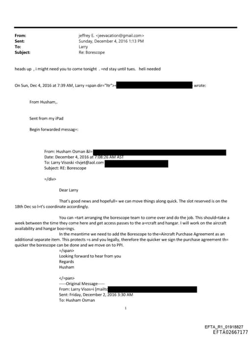 Preview of EFTA02667177