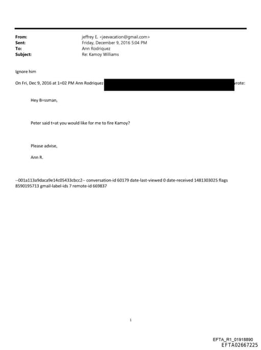 Preview of EFTA02667225