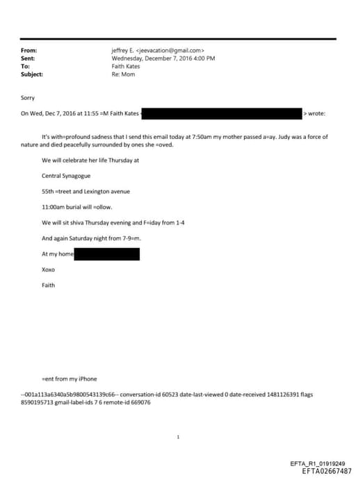 Preview of EFTA02667487