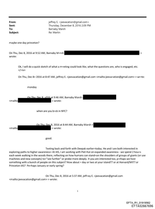 Preview of EFTA02667696