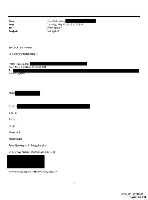 Preview of EFTA02667734