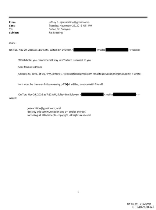 Preview of EFTA02668378