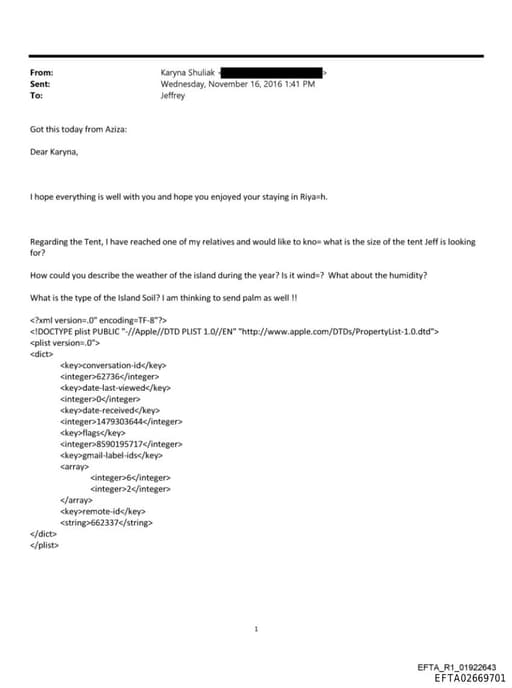 Preview of EFTA02669701