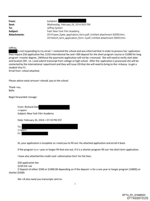 Preview of EFTA02673135