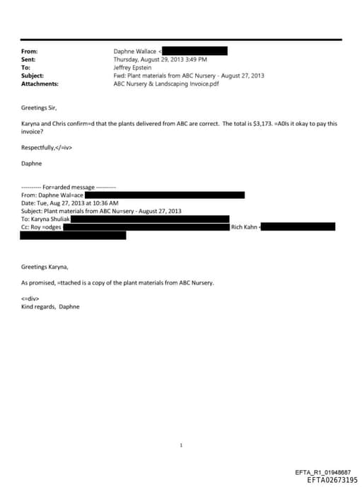 Preview of EFTA02673195