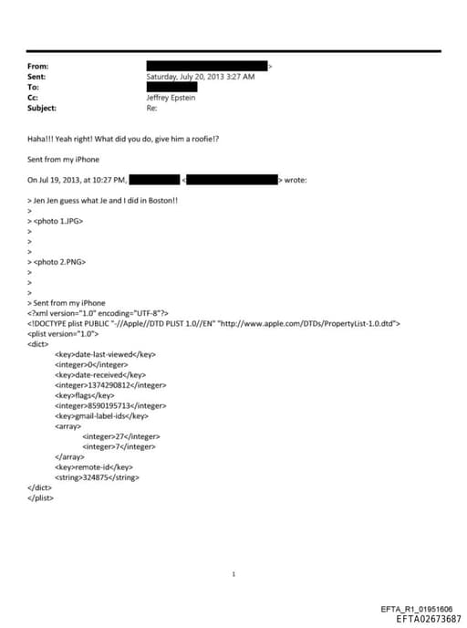 Preview of EFTA02673687