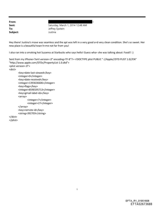 Preview of EFTA02673688