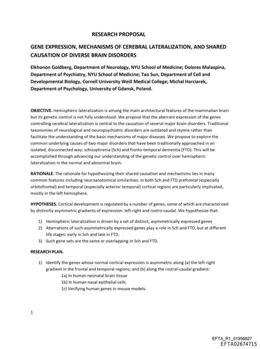 Preview of EFTA02674715