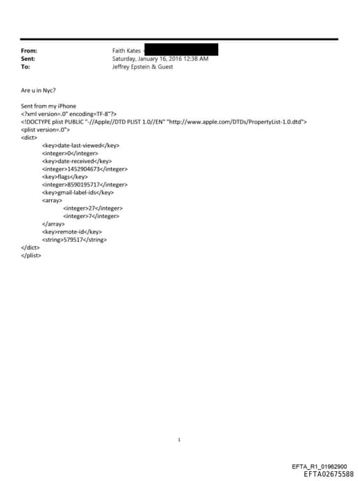 Preview of EFTA02675588