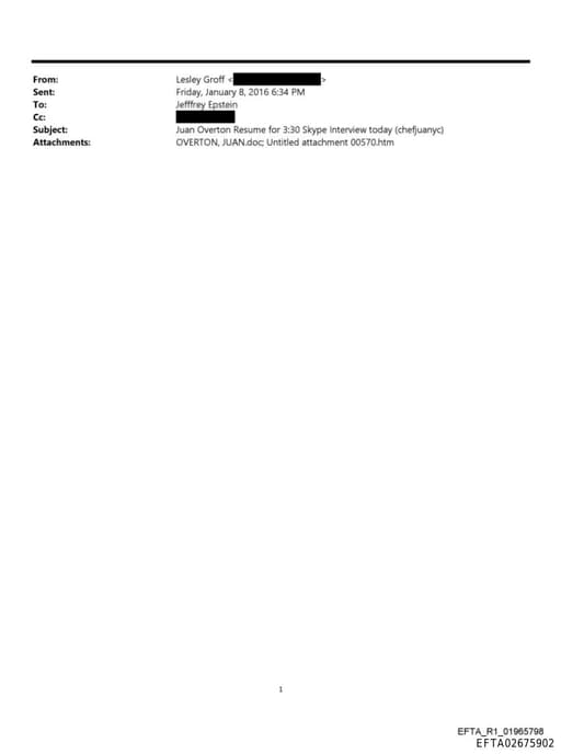 Preview of EFTA02675902