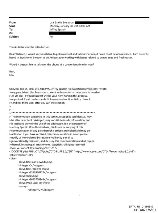 Preview of EFTA02675983