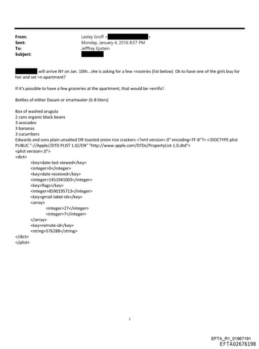 Preview of EFTA02676198