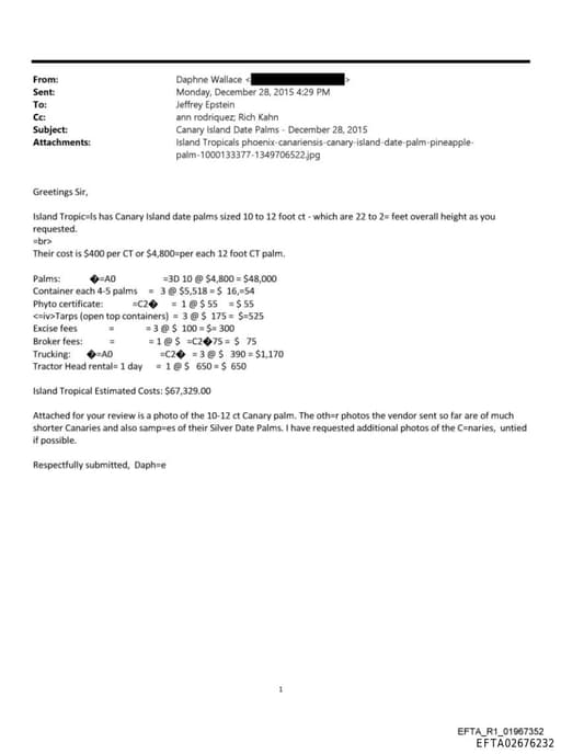 Preview of EFTA02676232