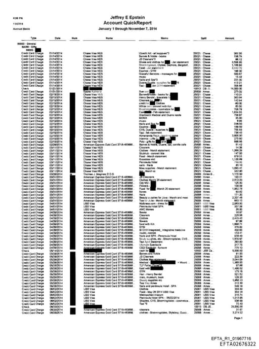 Preview of EFTA02676322