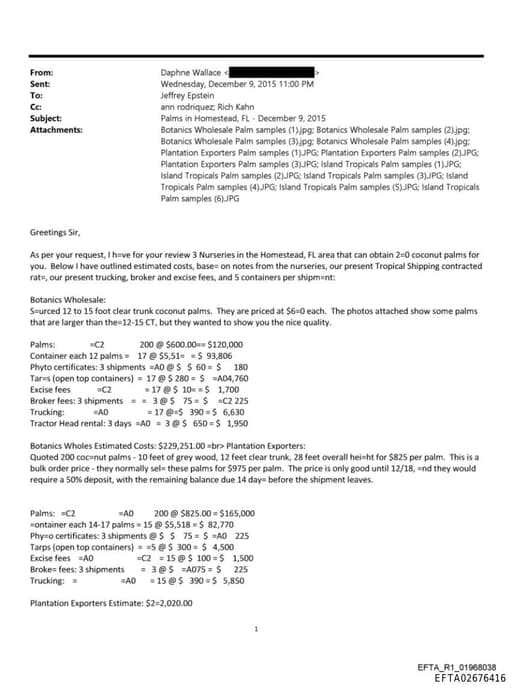 Preview of EFTA02676416