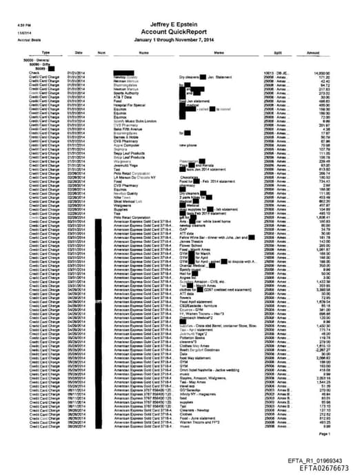 Preview of EFTA02676673