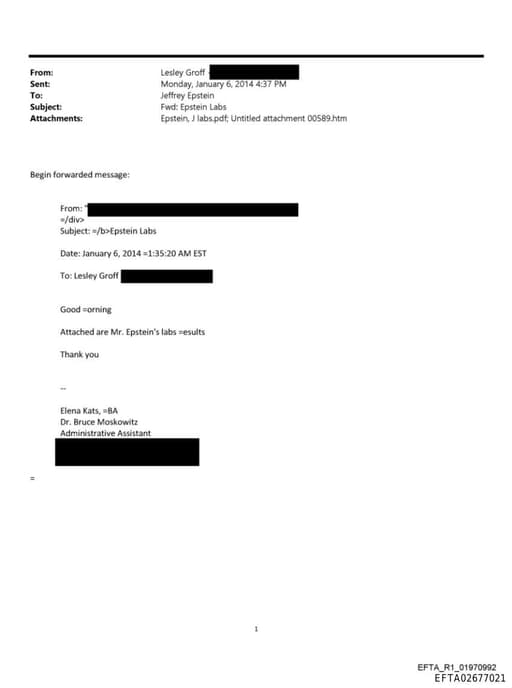 Preview of EFTA02677021