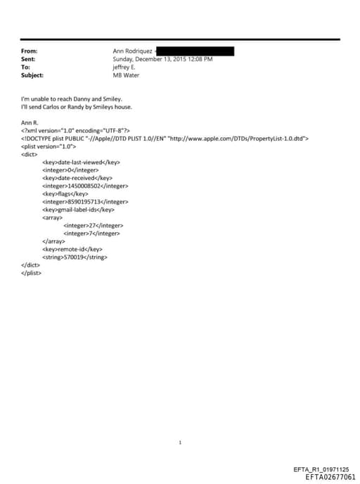 Preview of EFTA02677061