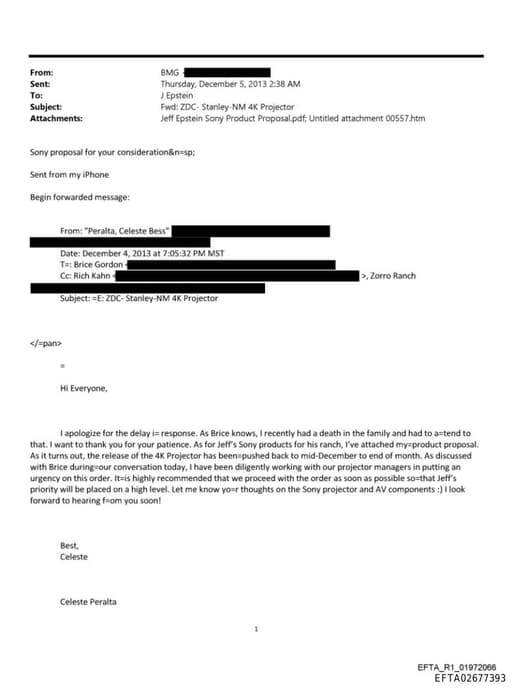 Preview of EFTA02677393