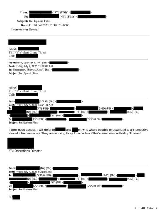 Preview of EFTA01656287_email_003