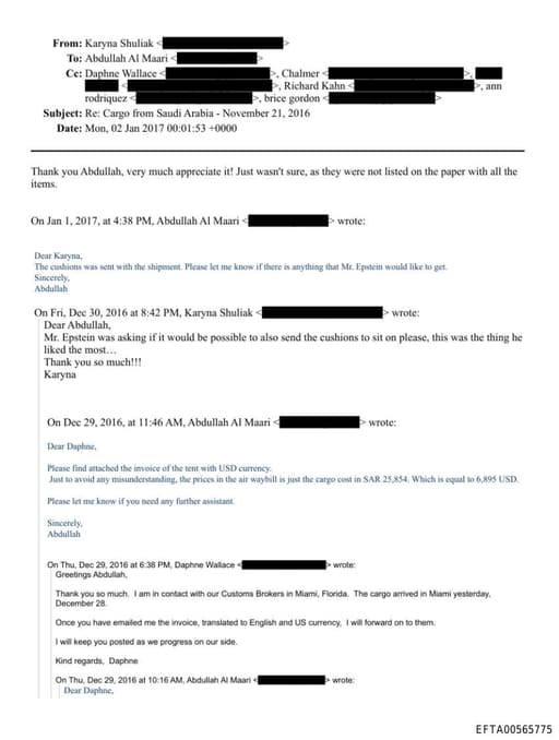 Preview of EFTA00565775_email_002