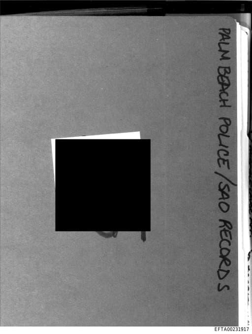 Preview of EFTA00231917_sub_001